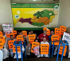 Österreich: Streik beim größten Tiefkühlproduzenten Ardo Frost Austria für mehr Geld