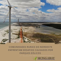 Brasilien: Im Nordosten haben Windparks Schmutz und Lärm verursacht und die Lebensgrundlagen der lokalen Gemeinschaften beeinträchtigt (Mongabay Brasil) br-solar-Mongaba